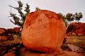 DSC_0001AM (32)